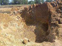 
      
      MP: Two women die due to mudslide near pond in Bhopal
      
      