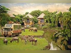 
      
      Unleash the Magic of Bali Safari: Your Ultimate Summer Holiday
      
      