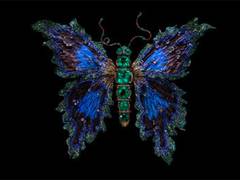 
      
      State of the Art Jewelry Summit
      
      