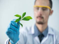 
      
      Method creates window to study distribution of elements in plants
      
      