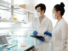 
      
      Study discovers insights about human gut-brain connection
      
      