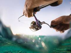 
      
      Environment Agency issues decision to regulate fishing
      
      