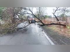 
      
      119 teams of PGVCL working to restore power supply in Jamnagar
      
      