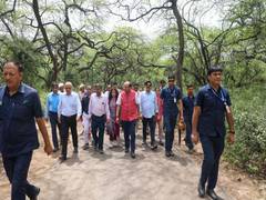 
      
      Delhi LG Saxena instructs officials to plant trees in Central...
      
      