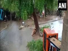 
      
      Biparjoy: Heavy rains cause waterlogging in parts of Rajasthan
      
      
