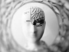 
      
      Brain waves can predict cognitive impairment in Parkinson's 
      
      