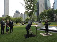 
      
      Tree dedicated to terror victims at UN Headquarters
      
      