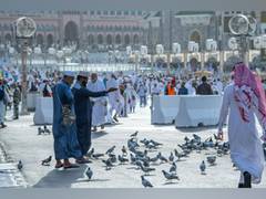 
      
      Saudi Arabia's strategic plans to safeguard food security
      
      