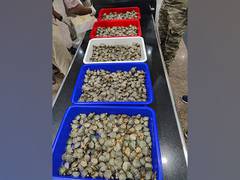 
      
      TN: Custom seizes 6,850 live red-eared slider turtles, 2 held
      
      