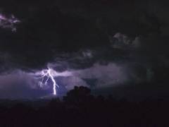 
      
      Lightning strike in Uttarkashi kills 1, injures 3
      
      