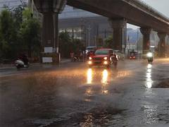 
      
      Monsoon arrives in Madhya Pradesh, alert issued for heavy rains
      
      