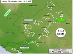 
      
      India free fromlocusts as farmers sow Kharif crops
      
      
