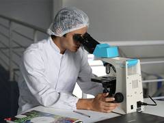 
      
      Immune cell levels may predict how well we respond to vaccines
      
      