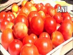 
      
      Soaring tomato prices burn a hole in common man's pocket
      
      