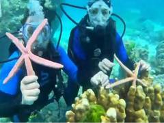 
    Thailand: Selfie with starfish lands Chinese tourists in jail
    