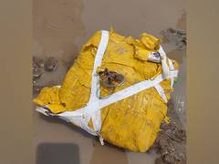 
      
      BSF recovers narcotics dropped by Pak drone in Punjab village
      
      