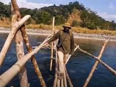 
      
      Man travels 63,000 km across India to promote urban forestation
      
      