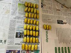 
      
      Mumbai: Benin national swallows 43 Heroin capsules worth Rs 5 cr
      
      
