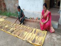 
      
      Chhattisgarh: Bastar couple preserves 350 varieties of paddy
      
      