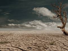 
      
      Understanding of how humans affect climate change: Study
      
      