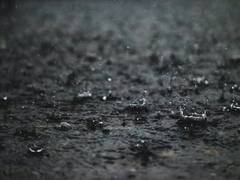 
      
      IMD issues yellow alert for 18 districts of Odisha from July 3-7
      
      