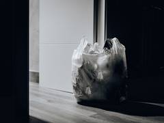 
      
      Israel sees 73 pc drop in disposable plastic bag use
      
      