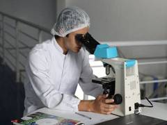 
      
      Regulation of apicoplast gene expression in malaria parasite
      
      