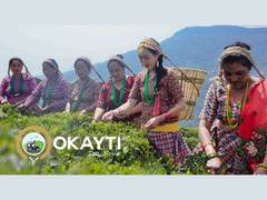 
      
      Okayti launches Tea Tour, plans to boost tourism in North Bengal
      
      