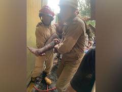 
      
      Building collapses in Delhi, one person rescued    
      
      