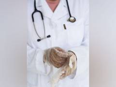 
      
      Study finds way to prevent tumour growth
      
      