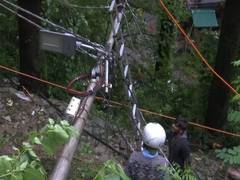 
      
      Himachal: Trees uproote after heavy rains in Shimla
      
      