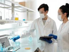 
      
      Study attempts to find hidden growth of mineral dendrites
      
      