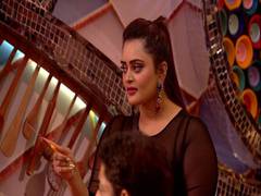 
      
      Bebika calls Falaq, Avinash's relationship fake on 'BBOTT2
      
      