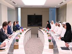 
      
      UAE, France review growing economic cooperation
      
      