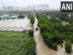 
      
      Green Beauty Farms in Noida reel under floods
      
      