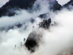 
      
      One person killed, three injured in Himachal cloud burst
      
      