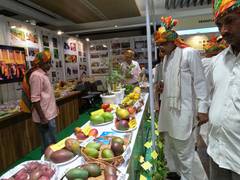 
      
      ICAR celebrates 95th foundation day, displays its innovations
      
      