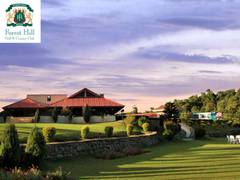 
      
      Forest Hill Resort Collaborations: Elevating the guest experience
      
      