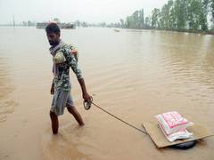 
      
      Punjab Congress chief urges Governor to release additional funds
      
      