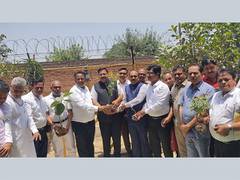 
      
      Plant trees to save Delhi, says Ghanshyam Gupta Zaveri
      
      