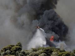 
      
      Greece battles wildfires amid searing heatwave across Europe
      
      