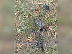 
      
      BSF recovers Pak drone near international border in Punjab
      
      
