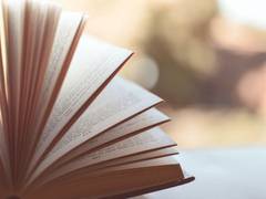 
      
      Pioneering female influences in Punjabi literature
      
      