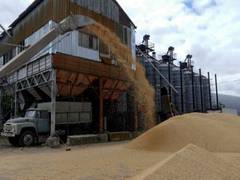 
    Concerns rise in East Africa over Ukrainian grain deal
    