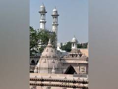 
      
      ASI to begin scientific survey of Gyanvapi mosque complex today
      
      