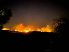 
      
      Greece witnesses largest-ever evacuation 
      
      