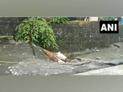 
      
      Mumbai rains: One-way traffic stopped due to road subsidence
      
      