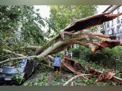 
      
      At least six dead as Italy batters violent storms, wildfires
      
      