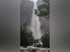 
      
      Telangana: 42 tourists stuck at Muthyala Dhara waterfalls 
      
      
