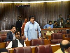 
      
      Pakistan: Senator Das condemns attacks on Hindu community
      
      
